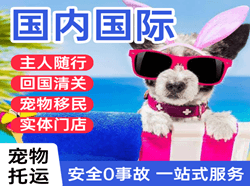 金湾空运地址国际宠物托运 【国